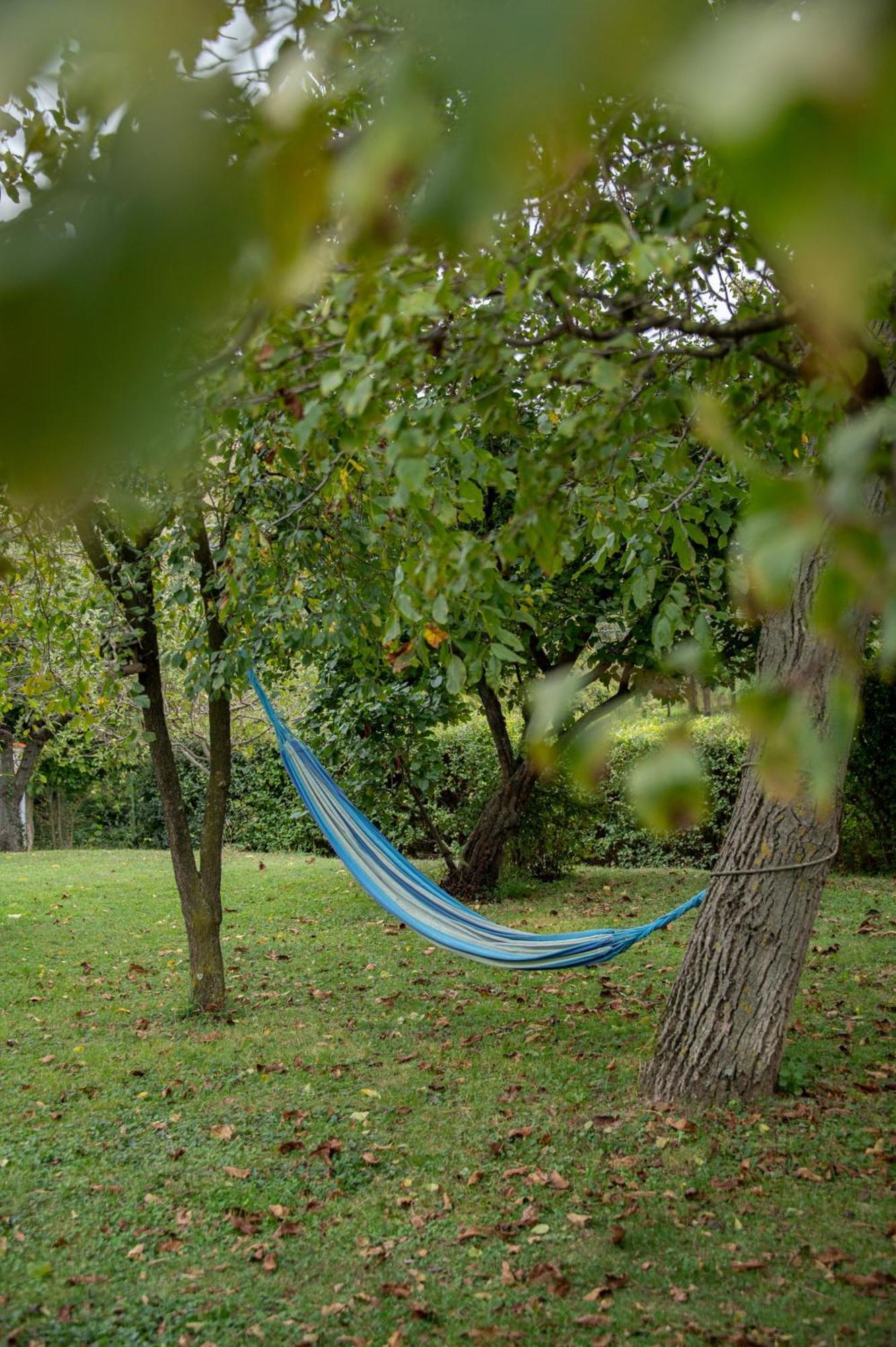 Rozmaring Vendégház Zengővárkony Extérieur photo