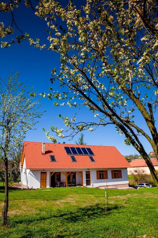 Rozmaring Vendégház Zengővárkony Extérieur photo
